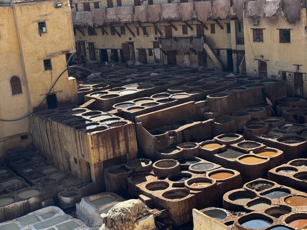 Nossos viajantes conhecendo o Marrocos - curtumes de Fez